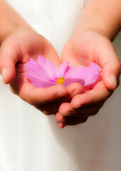 female hands holding pink flower