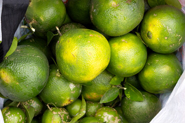 Fruits of a kind of orange mixed with lemon in a bag