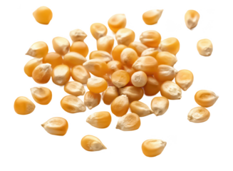 Corn seeds png maize kernels png planting corn grain png organic farming seeds png crop agriculture supply png dried seed stock png transparent background image