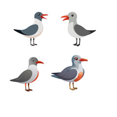 collection of birds