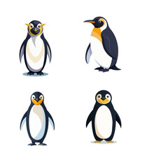 two penguins on a white background