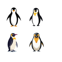 two penguins on a white background