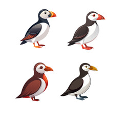 collection of birds