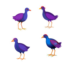 Fototapeta premium set of birds isolated on white
