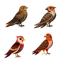 collection of birds