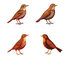 collection of birds