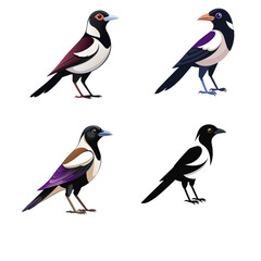 vector set of birds