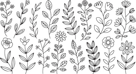 Fototapeta premium Hand-drawn collection of various flowers and plants, perfect for botanical, nature, and decorative design themes.