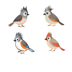 set of funny birds