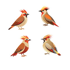 set of birds