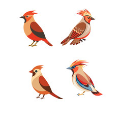 set of birds