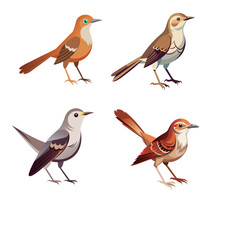 collection of birds