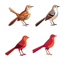 set of birds