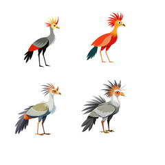 set of birds