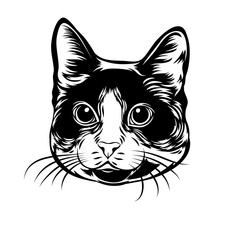 Hand Drawn Cat Face in Engraving Style – Isolated Vector