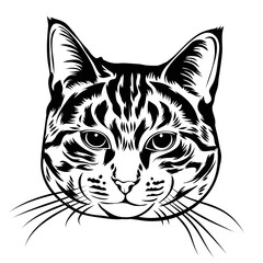Wild Cat Head Line Art – Black Ink Style for Print or Logo