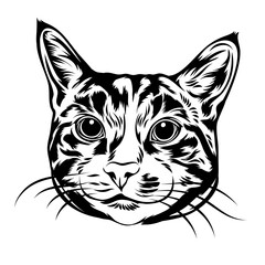 Bengal Cat Face Drawing – Monochrome Tattoo Style