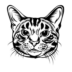 Black and White Cat Head Vector Illustration – Line Art Style