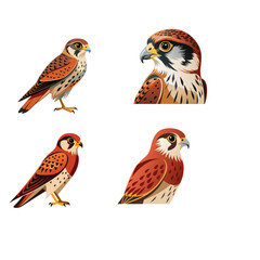 set of birds