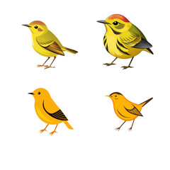 set of birds isolated on white background