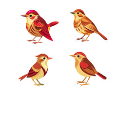 set of funny birds
