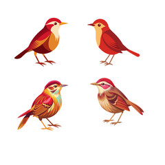 set of birds