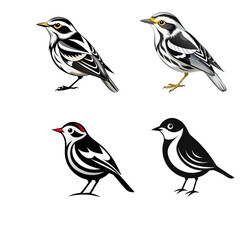 set of birds