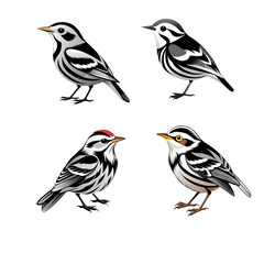 set of birds