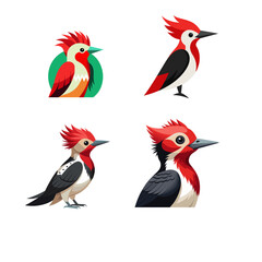 Fototapeta premium set of birds