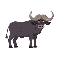 Funny buffalo isolated. Children cute animal vector illustration. African wildlife.