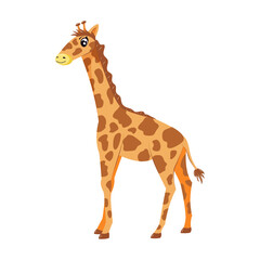Funny giraffe isolated on white background. Children cute animal vector illustration. African wildlife.