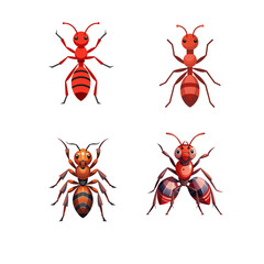 set of red ants