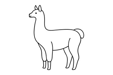 Fototapeta premium Cute Alpaca Outline Vector Sketch