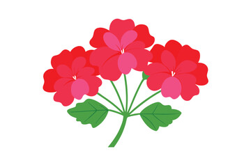 red flower isolated on white