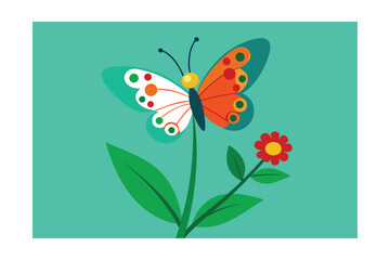 butterfly on a flower