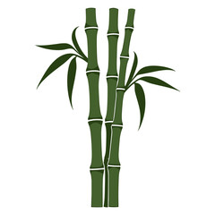 Elegant Bamboo Stalks with Lush Green Leaves Vector Illustration on White Background