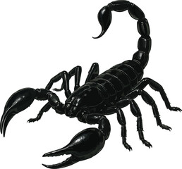 Realistic 4K Scorpion Illustration