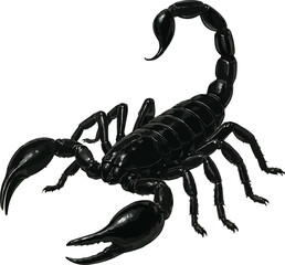 Realistic 4K Scorpion Illustration