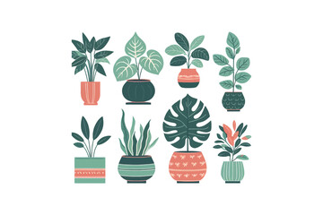 Flat color vector of popular indoor houseplants 