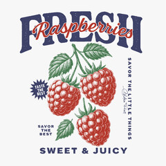 Raspberry vintage retro graphics. summer food grapics. girls t-shirt design. fruit print girls fashion design. womens trendy fashion graphics.
