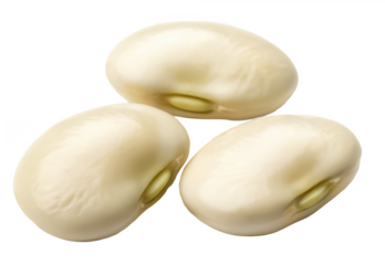 Fava bean seeds png dry fava beans png broad bean seeds png vegetable seeds png legume seeds png garden seeds png transparent background image