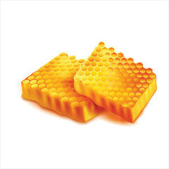 Natural honeycomb isolated on white background