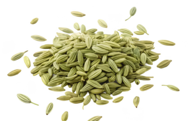 Fennel seeds png dried fennel png spice seeds png herbal seeds png aromatic seeds png cooking ingredient png transparent background image