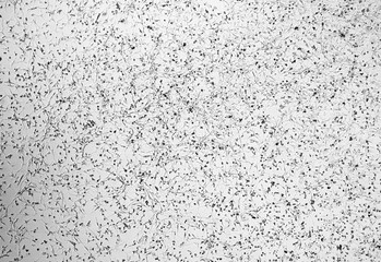 Obraz premium Glioblastoma cell culture.