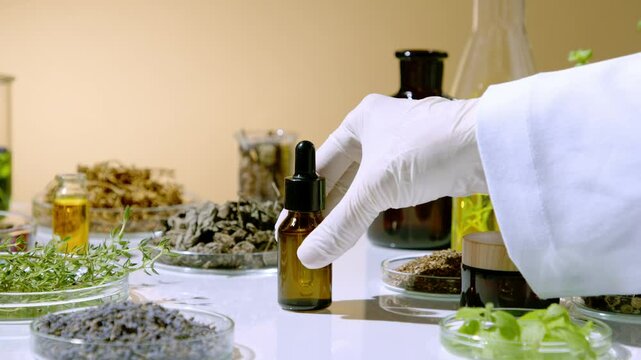 On the white lab table are several glass trays containing herbs. The researcher's hand is placed on a small, unlabeled amber-colored bottle of essential oil.