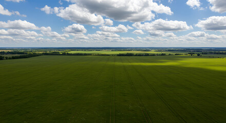 Fototapeta premium Expansive Green Field Under a Beautiful Sky with Clouds