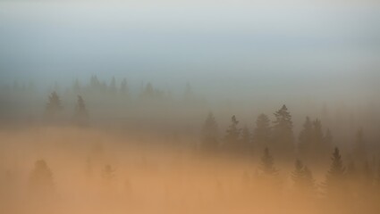 Fototapeta premium Misty forest landscape with silhouetted trees and golden sunlight at dawn or dusk