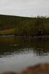 Chimney Pool (Belihul Oya River) in Horton Plains National Park, Sri Lanka.