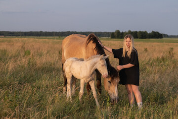 Young beautiful blonde girl in a black T-shirt with a horse on a summer field.