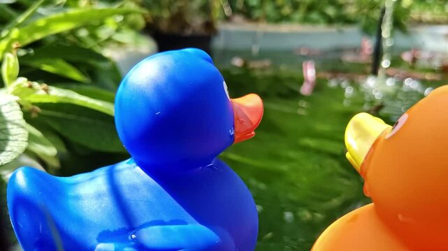 Zwei Gummienten am Gartenteich, Gummientenpaar &ndash; idyllische und romantische Teichszenerie f&uuml;r kreative Garten- und Naturprojekte, spielerische Deko, blaue Ente, gelbe Ente, Liebe, P&auml;rchen, Romantik
